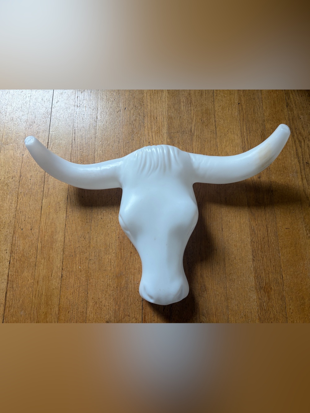 Unique White Decorative Longhorn Wall Mount - blow mold Bull Skull